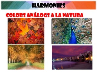 HARMONIES
COLORS ANÀLOGS a la natura
 