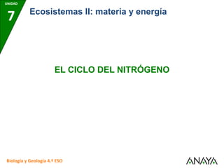UNIDAD
7
Biología y Geología 4.º ESO
Ecosistemas II: materia y energía
EL CICLO DEL NITRÓGENO
 