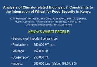 Analysis of Climate-related Biophysical Constraints to
 the Integration of Wheat for Food Security in Kenya
   1C.N.Macharia*, 1M., Gethi, 1P.A Ooro, 1C.M. Njeru, and 1A. Gichangi,
       1Kenya Agricultural Research Institute, Private Bag, Njoro; 20107

               *Correspondence: cngarimacharia@yahoo.com


                    KENYA’S WHEAT PROFILE:
    •Second most important cereal crop
    •Production :      350,000 MT p.a
    • Acreage :        157,000 Ha.
    •Consumption:      950,000 mt.
    •Imports:          600,000 tons (Value: 162.5 US $)
 