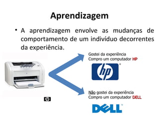 Aprendizagem
• A aprendizagem envolve as mudanças de
  comportamento de um indivíduo decorrentes
  da experiência.
                      Gostei da experiência
                      Compro um computador HP




                      Não gostei da experiência
                      Compro um computador DELL
 