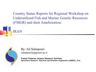 Country Status Reports for Regional Workshop on
Underutilized Fish and Marine Genetic Resources
(FMGR) and their Amelioration:
IRAN
By: Ali Salarpouri
salarpouri@pgoseri.ac.ir
Iranian Fisheries Science Research Institute.
Agricultural Research, Education and Extension Organization (AREEO), Iran.
 