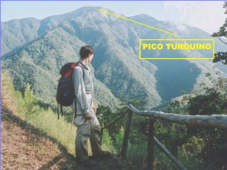 PICO TURQUINO
 