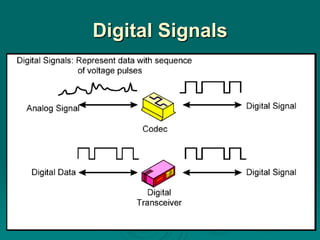Digital Signals
 