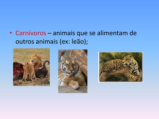 • Carnívoros – animais que se alimentam de
outros animais (ex: leão);

 
