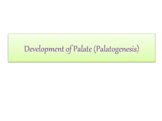 Development of Palate (Palatogenesis)
 