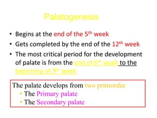 The palate develops from two primordia:
• The Primary palate
• The Secondary palate
• Begins at the end of the 5th week
• Gets completed by the end of the 12th week
• The most critical period for the development
of palate is from the end of 6th week to the
beginning of 9th week
Palatogenesis
 