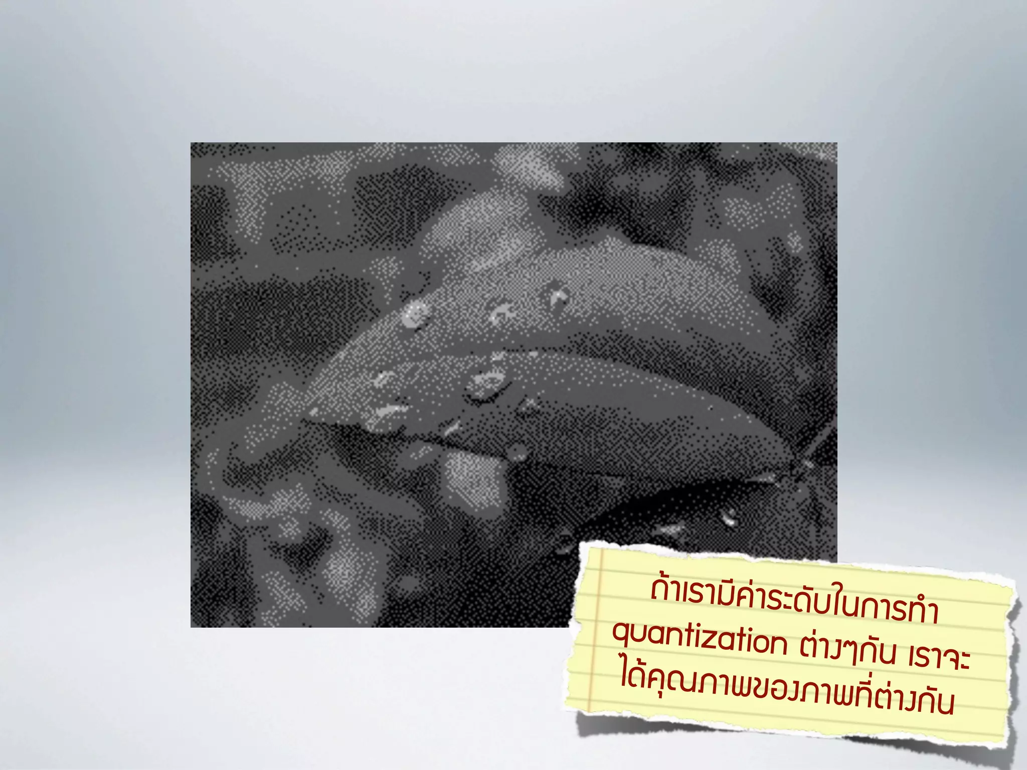 381;612=CI16J'+GQ/:
                        16*7
quantization DI1
                   #W:+/ ;61)J
?'8C4MK1-!"#K1-
                     *=&DI1#:+/
 