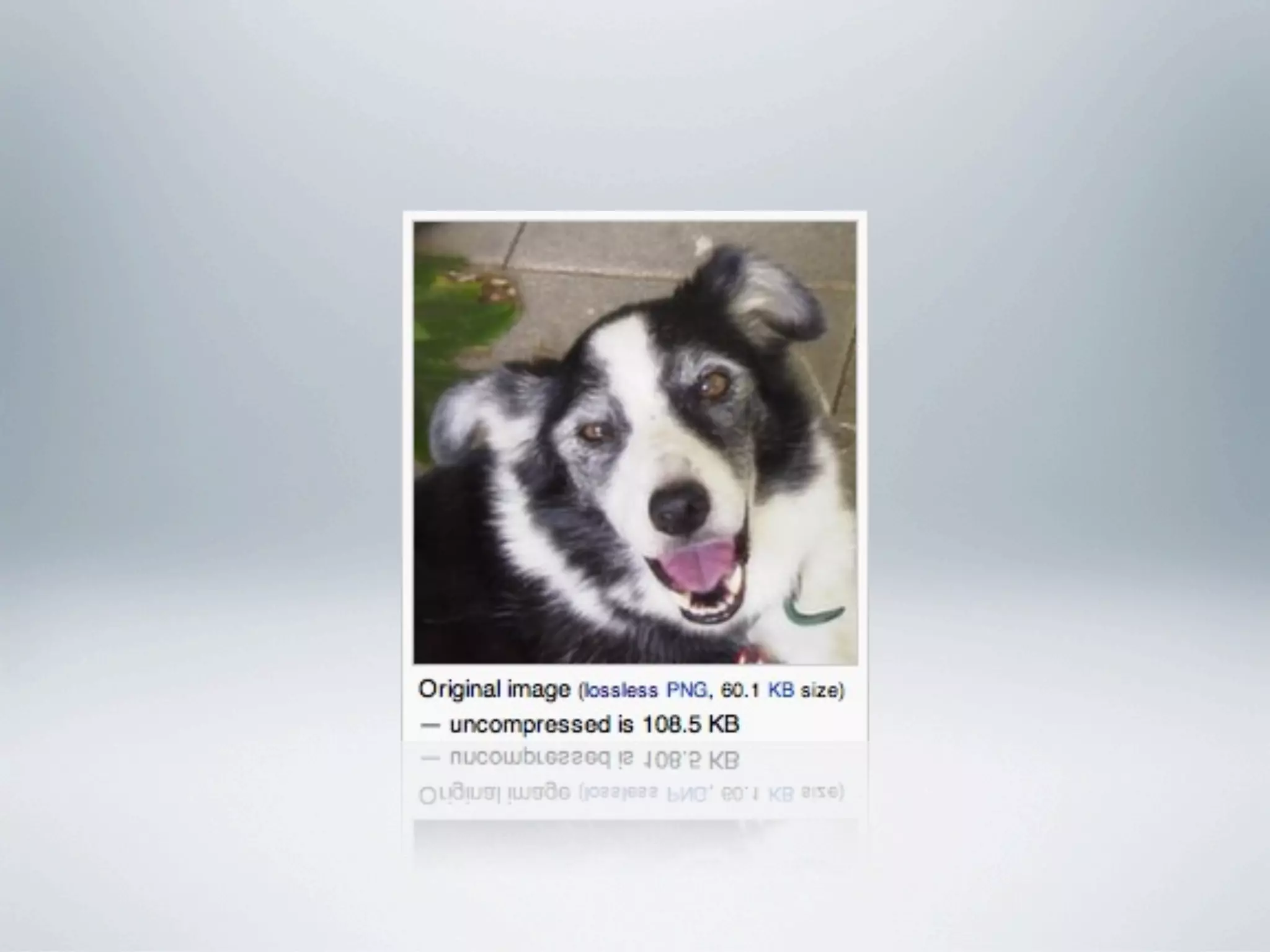 03 digital media fundamental