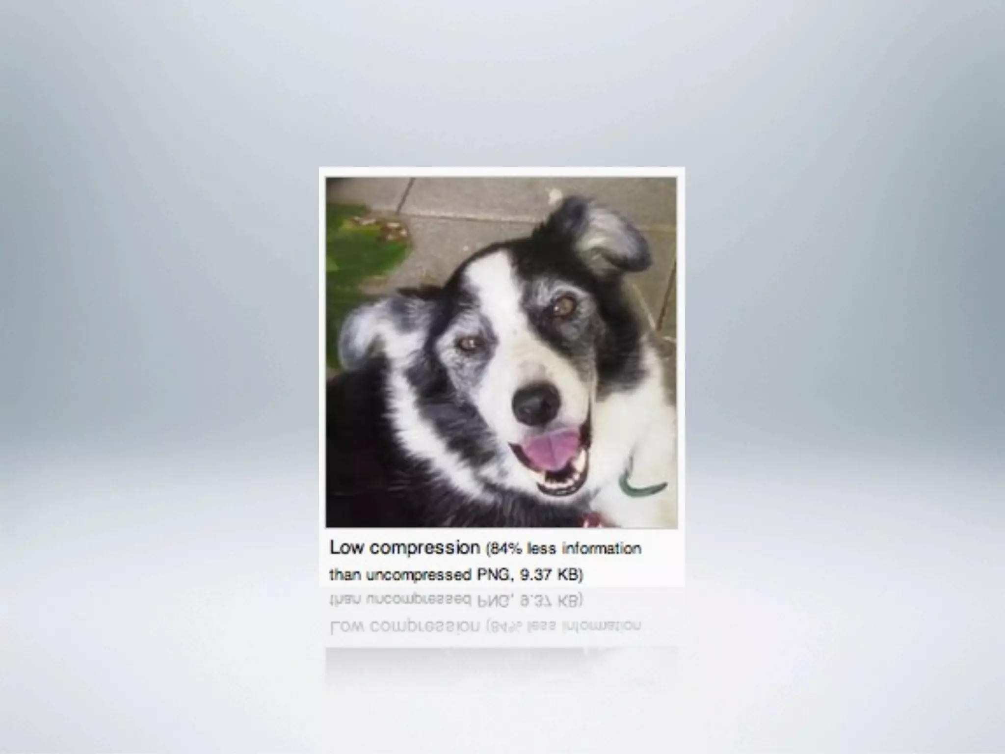 03 digital media fundamental