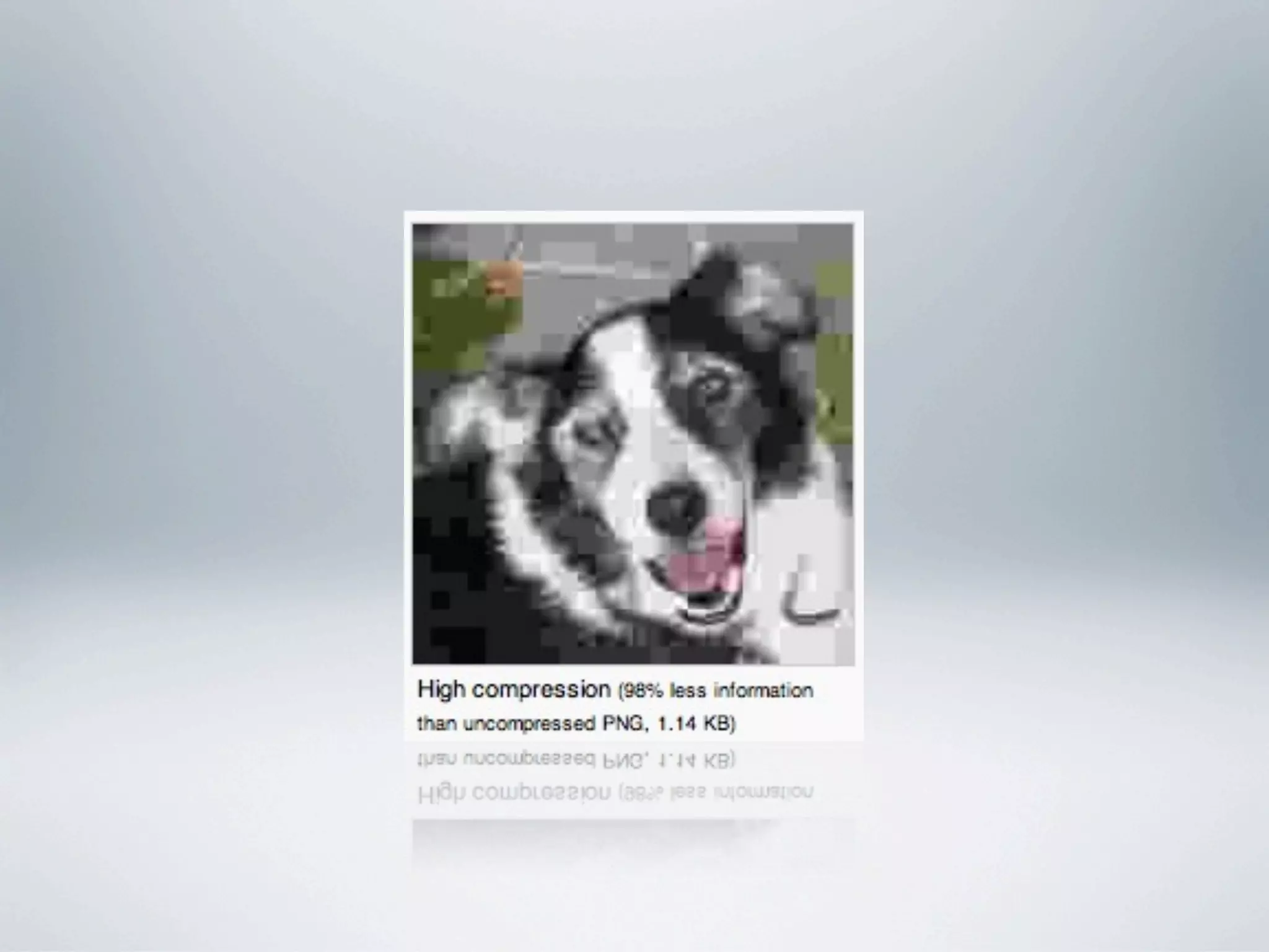 03 digital media fundamental