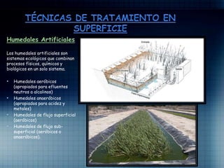 Humedales Artificiales
Los humedales artificiales son
sistemas ecológicos que combinan
procesos físicos, químicos y
biológicos en un solo sistema.
• Humedales aeróbicos
(apropiados para efluentes
neutros a alcalinos)
• Humedales anaeróbicos
(apropiados para acidez y
metales)
• Humedales de flujo superficial
(aeróbicos)
• Humedales de flujo sub-
superficial (aeróbicos o
anaeróbicos).
 