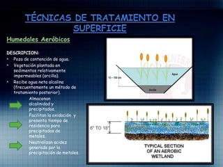 Humedales Aeróbicos
DESCRIPCION:
• Poza de contención de agua.
• Vegetación plantada en
sedimentos relativamente
impermeables (arcilla).
• Recibe agua neta alcalina
(frecuentemente un método de
tratamiento posterior).
Almacenan
alcalinidad y
precipitados.
Facilitan la oxidación y
presenta tiempo de
residencia para
precipitados de
metales.
Neutralizan acidez
generada por la
precipitación de metales.
 