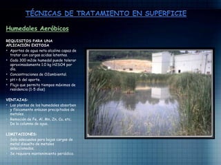Humedales Aeróbicos
REQUISITOS PARA UNA
APLICACIÓN EXITOSA
• Aportes de agua neta alcalina capaz de
tratar con cargas acidas latentes.
• Cada 300 m2de humedal puede tolerar
aproximadamente 1.0 kg H2SO4 por
día.
• Concentraciones de O2ambiental.
• pH > 6 del aporte.
• Flujo que permita tiempos máximos de
residencia (1-5 días)
VENTAJAS:
• Las plantas de los humedales absorben
y físicamente enlazan precipitados de
metales.
• Remoción de Fe, Al, Mn, Zn, Cu, etc.
De la columna de agua.
LIMITACIONES:
• Solo adecuados para bajas cargas de
metal disuelto de metales
seleccionados.
• Se requiere mantenimiento periódico.
 