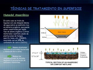 Humedal Anaeróbico
En este caso se trata de
lagunas con una delgada lámina
de agua sobre un sustrato rico
en materia orgánica, que puede
estar constituido por algún
tipo de abono orgánico u otros
materiales: sustrato usado de
plantaciones de hongos,
aserrín, heno, etc. (SRMO),
mezclado con un 10% de
carbonato de calcio (CaCO3).
Genera alcalinidad
mediante la actividad bacteriana
y disolución de la caliza.
Reduce las
concentraciones de metales
mediante la precipitación de
sulfuros e hidróxidos.
 
