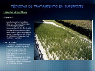 Humedal Anaeróbico
VENTAJAS:
• Las plantas de los humedales
absorben y físicamente enlazan
los metales precipitados.
• Remueven Fe, Al, Mn, Zn, Cu, etc.
• Los precipitados de sulfuro son
generalmente menos solubles que
sus correspondientes hidróxidos
de metales, por lo que son mas
fácilmente captados.
LIMITACIONES:
• Se requiere adición rutinaria de
nutrientes (material orgánico).
• Requiere monitoreo de las
bacterias sulforeductoras.
• Insuficiente área para los
humedales,
• Máximo pH alcanzado 6 – 7.5 (no
todos los metales precipitan).
• Se requiere tiempos prolongados
de residencia de agua.
 