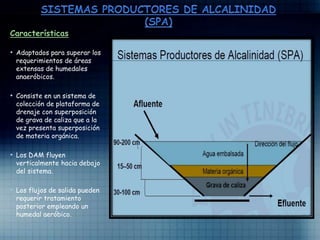 Características
• Adaptados para superar los
requerimientos de áreas
extensas de humedales
anaeróbicos.
• Consiste en un sistema de
colección de plataforma de
drenaje con superposición
de grava de caliza que a la
vez presenta superposición
de materia orgánica.
• Los DAM fluyen
verticalmente hacia debajo
del sistema.
• Los flujos de salida pueden
requerir tratamiento
posterior empleando un
humedal aeróbico.
 