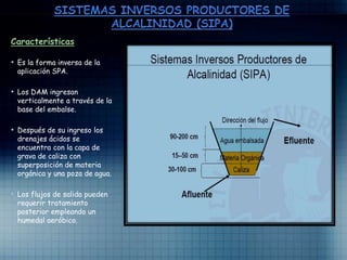 Características
• Es la forma inversa de la
aplicación SPA.
• Los DAM ingresan
verticalmente a través de la
base del embalse.
• Después de su ingreso los
drenajes ácidos se
encuentra con la capa de
grava de caliza con
superposición de materia
orgánica y una poza de agua.
• Los flujos de salida pueden
requerir tratamiento
posterior empleando un
humedal aeróbico.
 