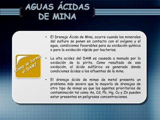 • El Drenaje Ácido de Mina, ocurre cuando los minerales
del sulfuro se ponen en contacto con el oxígeno y el
agua, condiciones favorables para su oxidación química
o para la oxidación rápida por bacterias.
• La alta acidez del DAM es causada a menudo por la
oxidación de la pirita. Como resultado de esa
oxidación, el ácido sulfúrico es generado dando
condiciones ácidas a los efluentes de la mina.
• El drenaje ácido de minas de metal presenta un
problema más severo que la mayoría de drenajes de
otro tipo de minas ya que los agentes prioritarios de
contaminación tal como As, Cd, Pb, Hg, Cu y Zn pueden
estar presentes en peligrosas concentraciones.
 
