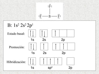 B: 1s 2  2s 2  2p 1 1s  2s  2p Estado basal: 1s  2s  2p Promoción: 1s  sp 2     2p Hibridización: 