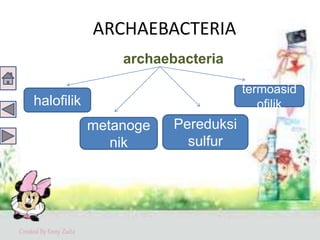 Created By Enny Zuita
ARCHAEBACTERIA
archaebacteria
halofilik
metanoge
nik
Pereduksi
sulfur
termoasid
ofilik
 