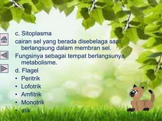 c. Sitoplasma
cairan sel yang berada disebelaga saat
berlangsung dalam membran sel.
Fungsinya sebagai tempat berlangsunya
metabolisme.
d. Flagel
• Peritrik
• Lofotrik
• Amfitrik
• Monotrik
• atik
 