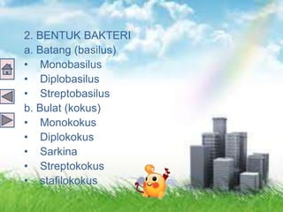 2. BENTUK BAKTERI
a. Batang (basilus)
• Monobasilus
• Diplobasilus
• Streptobasilus
b. Bulat (kokus)
• Monokokus
• Diplokokus
• Sarkina
• Streptokokus
• stafilokokus
 