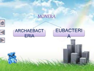 MONERA
ARCHAEBACT
ERIA
EUBACTERI
A
 