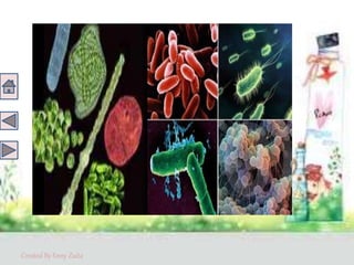 Created By Enny Zuita
 