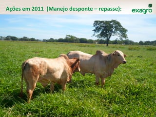 Ações	
  em	
  2011	
  	
  (Manejo	
  desponte	
  –	
  repasse):	
  	
  
 