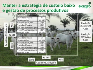 13	
  
Resultado	
  R$	
  /	
  ha	
  /	
  ano	
  
Baixo	
  Alto	
  
Baixo	
   Alto	
  
Grupo	
  de	
  resultados 13
Custeio/cab/ano 173R$	
  	
  	
  	
  
Produção	
  @/cab/ano 2,3@
Produção	
  @/ha/ano 2,4@
Prod.	
  @/cab/ano	
  pastagens 2,3@
Prod.	
  @/ha/ano	
  pastagens 2,4@
Resultado	
  R$/ha 2R$	
  	
  	
  	
  	
  	
  	
  	
  	
  
Grupo	
  de	
  resultados 36
Custeio/cab/ano 137R$	
  	
  	
  	
  
Produção	
  @/cab/ano 3,7@
Produção	
  @/ha/ano 4,5@
Prod.	
  @/cab/ano	
  pastagens 3,7@
Prod.	
  @/ha/ano	
  pastagens 4,5@
Resultado	
  R$/ha 211R$	
  	
  	
  	
  
R$	
  298	
  
R$	
  131	
  
Custeio	
  R$/cab./ano	
  
Manter	
  a	
  estratégia	
  de	
  custeio	
  baixo	
  	
  
e	
  gestão	
  de	
  processos	
  produVvos	
  
Produção	
  
@/cab/ano	
  
4,5@	
  
	
  
Produção	
  
@/ha/ano	
  
5,5@	
  
 