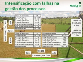 Intensiﬁcação	
  com	
  falhas	
  na	
  
gestão	
  dos	
  processos	
  
17	
  
Resultado	
  R$	
  /	
  ha	
  /	
  ano	
  
Baixo	
  Alto	
  
Baixo	
   Alto	
  
Grupo	
  de	
  resultados 13
Custeio/cab/ano 173R$	
  	
  	
  	
  
Produção	
  @/cab/ano 2,3@
Produção	
  @/ha/ano 2,4@
Prod.	
  @/cab/ano	
  pastagens 2,3@
Prod.	
  @/ha/ano	
  pastagens 2,4@
Resultado	
  R$/ha 2R$	
  	
  	
  	
  	
  	
  	
  	
  	
  
Grupo	
  de	
  resultados 36
Custeio/cab/ano 137R$	
  	
  	
  	
  
Produção	
  @/cab/ano 3,7@
Produção	
  @/ha/ano 4,5@
Prod.	
  @/cab/ano	
  pastagens 3,7@
Prod.	
  @/ha/ano	
  pastagens 4,5@
Resultado	
  R$/ha 211R$	
  	
  	
  	
  
Grupo	
  de	
  resultados 36
Custeio/cab/ano 633R$	
  	
  	
  	
  
Produção	
  @/cab/ano 6,1@
Produção	
  @/ha/ano 7,3@
Prod.	
  @/cab/ano	
  pastagens 4,6@
Prod.	
  @/ha/ano	
  pastagens 4,8@
Resultado	
  R$/ha 60-­‐R$	
  	
  	
  	
  	
  	
  	
  
R$	
  298	
  
R$	
  131	
  
Custeio	
  R$/cab./ano	
  
Produção	
  
@/cab/ano	
  
4,5@	
  
	
  
Produção	
  
@/ha/ano	
  
5,5@	
  
 