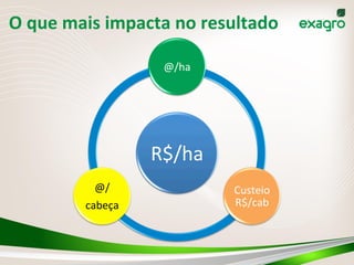 O	
  que	
  mais	
  impacta	
  no	
  resultado	
  
R$/ha	
  
@/ha	
  
Custeio	
  
R$/cab	
  
@/	
  
cabeça	
  
 