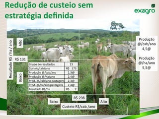 Redução	
  de	
  custeio	
  sem	
  
estratégia	
  deﬁnida	
  
69	
  
Resultado	
  R$	
  /	
  ha	
  /	
  ano	
  
Baixo	
  Alto	
  
Baixo	
   Alto	
  
Grupo	
  de	
  resultados 13
Custeio/cab/ano 173R$	
  	
  	
  	
  
Produção	
  @/cab/ano 2,3@
Produção	
  @/ha/ano 2,4@
Prod.	
  @/cab/ano	
  pastagens 2,3@
Prod.	
  @/ha/ano	
  pastagens 2,4@
Resultado	
  R$/ha 2R$	
  	
  	
  	
  	
  	
  	
  	
  	
  
R$	
  298	
  
R$	
  131	
  
Custeio	
  R$/cab./ano	
  
Produção	
  
@/cab/ano	
  
4,5@	
  
	
  
Produção	
  
@/ha/ano	
  
5,5@	
  
 