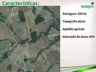 CaracterísVcas:	
  
-­‐ Pastagens:	
  429	
  ha	
  
-­‐ Topograﬁa	
  plana	
  
-­‐ ApVdão	
  agrícola	
  
	
  
-­‐Saturação	
  de	
  bases	
  35%	
  
 