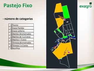 Pastejo	
  Fixo	
  
-­‐	
  número	
  de	
  categorias	
  
1 Touros
2 Vacas	
  Paridas
3 Vacas	
  solteira
4 Machos	
  desmamados
5 Machos	
  de	
  1	
  a	
  2	
  anos
6 Machos	
  >	
  3	
  anos
7 Fêmeas	
  desmamadas
8 Fêmeas	
  1	
  a	
  2	
  anos
9 Novilhas
 