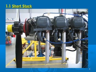 55 
11..11 SShhoorrtt SSttaacckk 
 