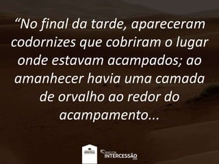 “No final da tarde, apareceram
codornizes que cobriram o lugar
onde estavam acampados; ao
amanhecer havia uma camada
de orvalho ao redor do
acampamento...
 