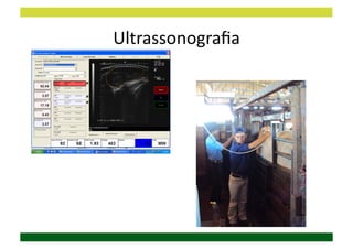 Ultrassonograﬁa	
  
 