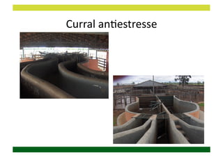 Curral	
  anDestresse	
  
 