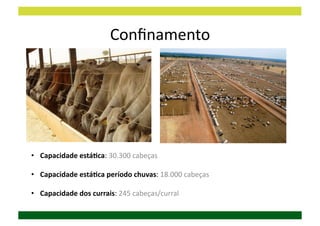 Conﬁnamento	
  




•  Capacidade	
  estáGca:	
  30.300	
  cabeças	
  

•  Capacidade	
  estáGca	
  período	
  chuvas:	
  18.000	
  cabeças	
  

•  Capacidade	
  dos	
  currais:	
  245	
  cabeças/curral	
  
 