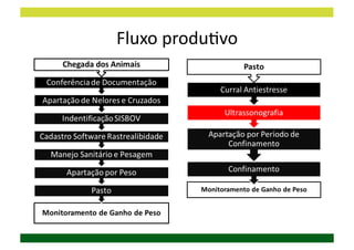 Fluxo	
  produDvo	
  
 