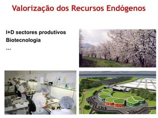 Valorização dos Recursos Endógenos 
I+D sectores produtivos 
Biotecnologia 
… 
 