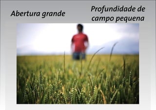 Abertura grande

Profundidade de
campo pequena

 