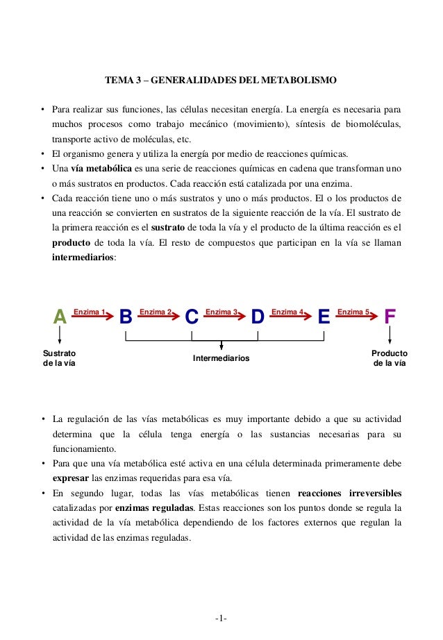 Tiene más preguntas sobre el poder del metabolismo amazon?