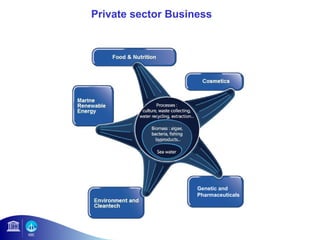 Private sector Business 
Genetic and 
Pharmaceuticals 
 