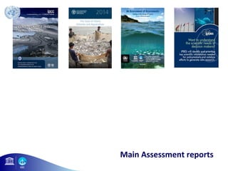 Main Assessment reports 
 