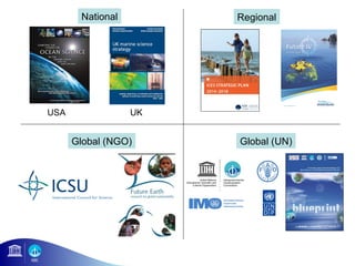 National Regional 
USA UK 
Global (NGO) Global (UN) 
 