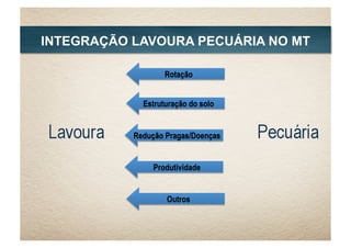 INTEGRAÇÃO LAVOURA PECUÁRIA NO MT
Redução Pragas/Doenças
Produtividade
Rotação
Estruturação do solo
Outros
 