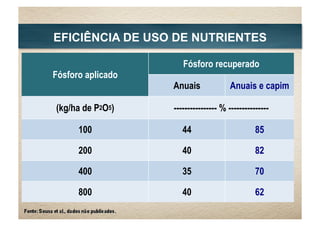 Fósforo aplicado
Fósforo recuperado
Anuais Anuais e capim
(kg/ha de P2O5) ---------------- % ---------------
100 44 85
200 40 82
400 35 70
800 40 62
EFICIÊNCIA DE USO DE NUTRIENTES
 