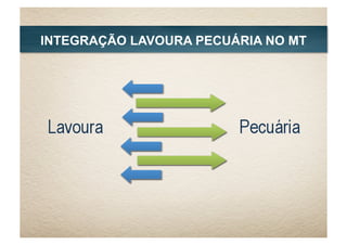 INTEGRAÇÃO LAVOURA PECUÁRIA NO MT
 